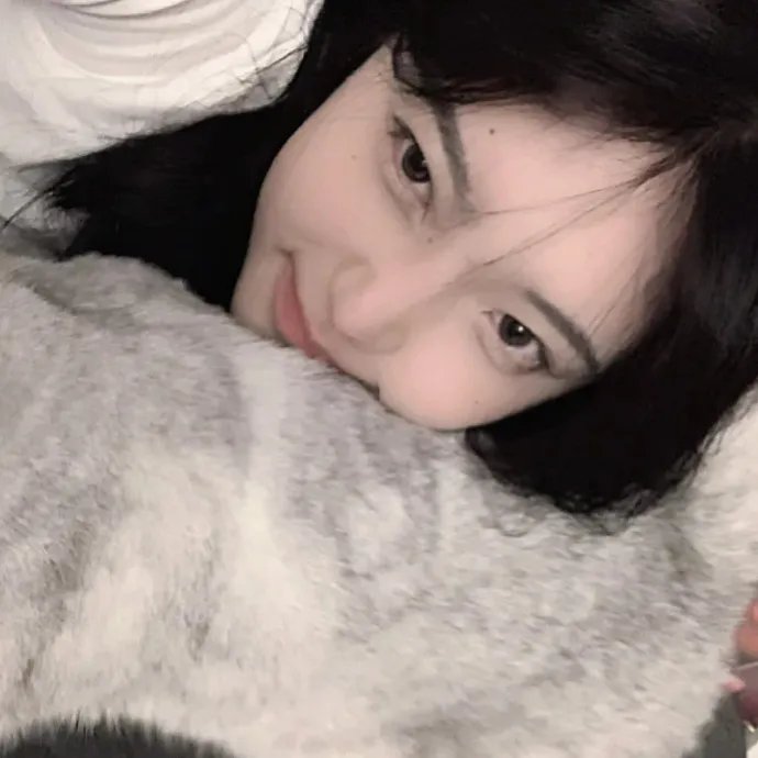 燕子不再归来